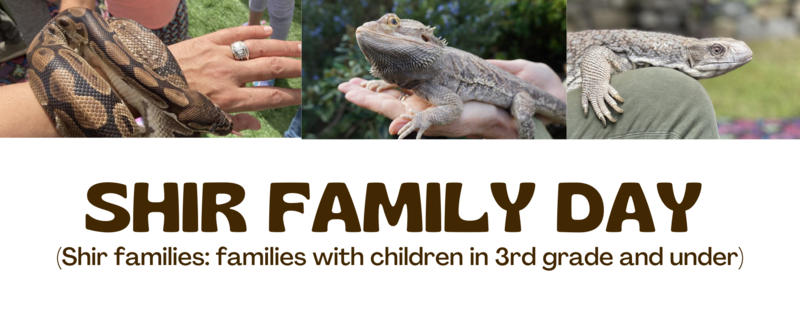 Banner Image for Shir Family Day Noah's Ark  & Lizard Lady